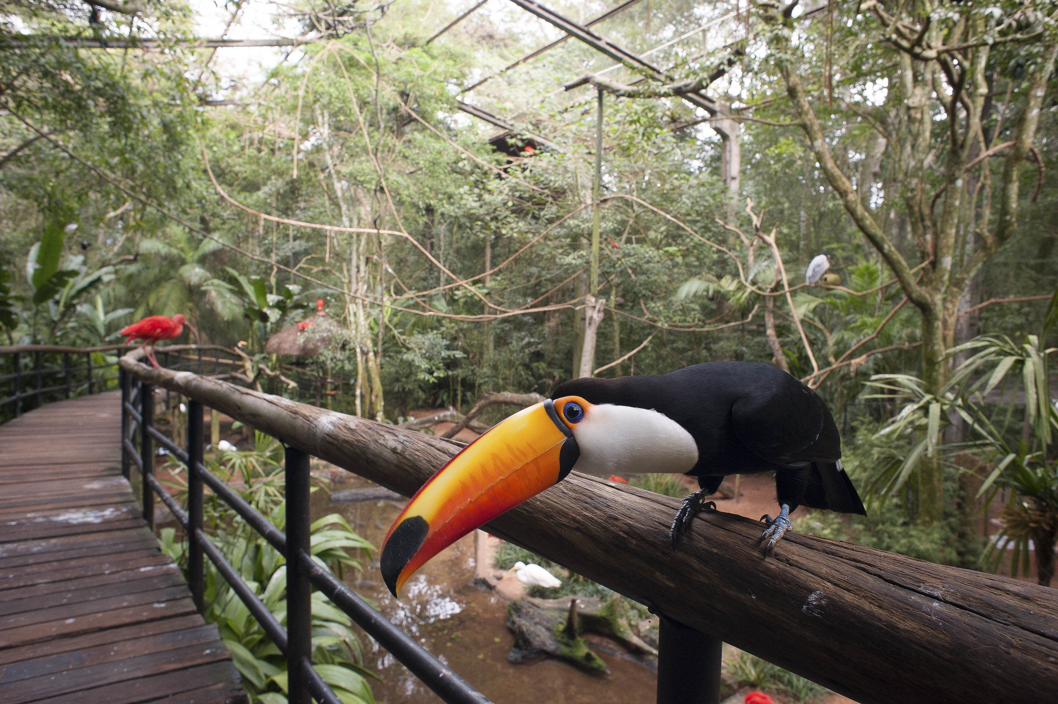 Parque das Aves